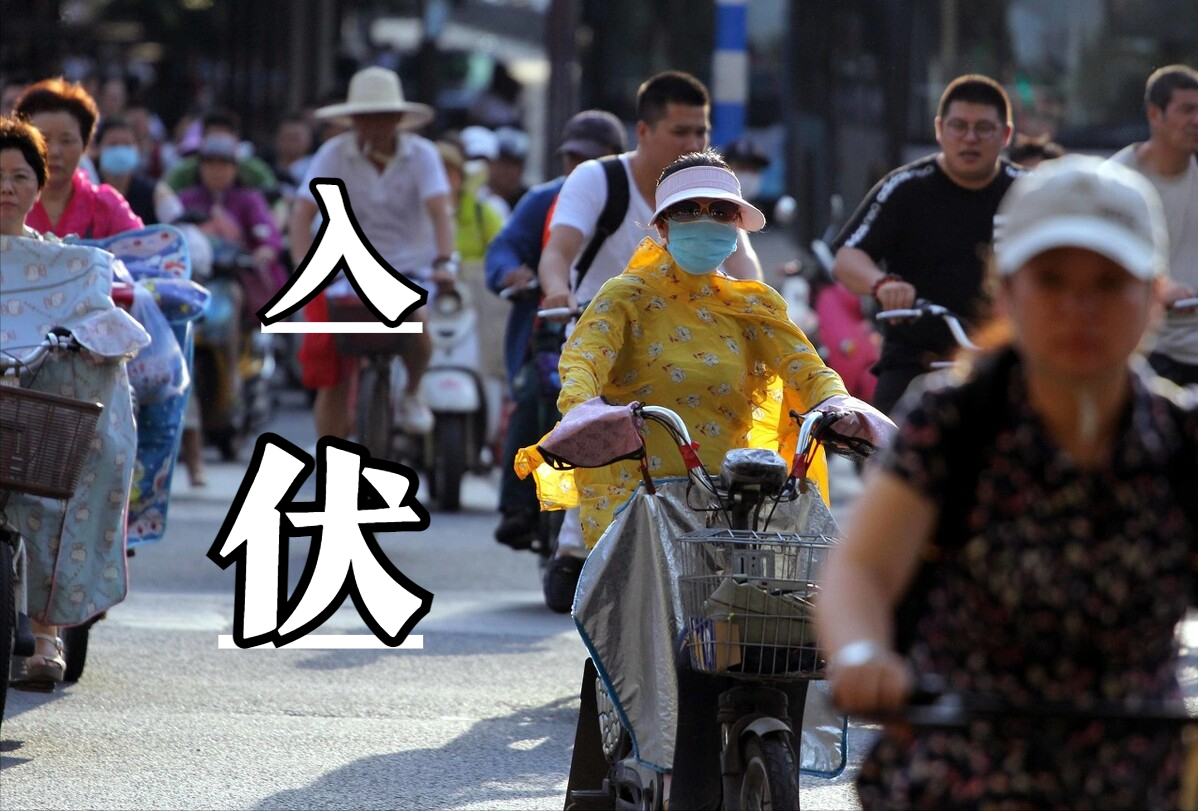 七月，必吃的5种“冠军”菜，鲜嫩营养别错过，有空做给家人吃