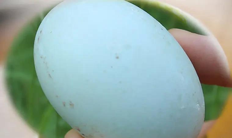 12种突破烹饪界底线的“美食”，颠覆了想象，看完感觉不饿了